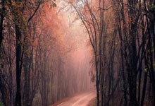 足球报:印尼6人身背黄牌,主场与巴林战平对国足是最理想结果.