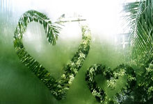 💣平地起惊雷!穆迪突破长臂轻舒 战斧隔扣米西!.