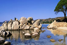 壹号娱乐:最后两周,美媒5个大胆预测!库里破克莱14三分老詹东契奇30+三双.